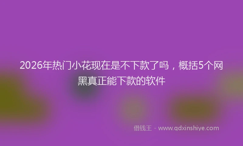 2026年热门小花现在是不下款了吗,概括5个网黑真正能下款的软件