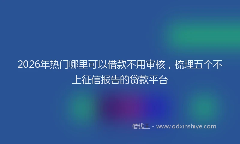 2026年热门哪里可以借款不用审核，梳理五个不上征信报告的贷款平台