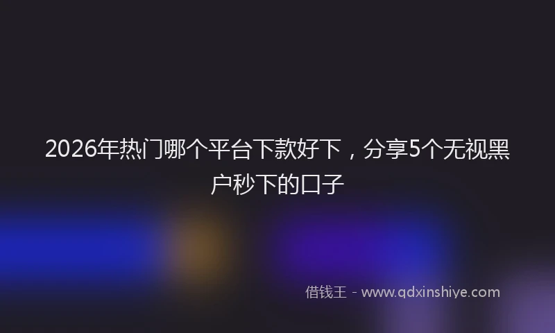 2026年热门哪个平台下款好下，分享5个无视黑户秒下的口子