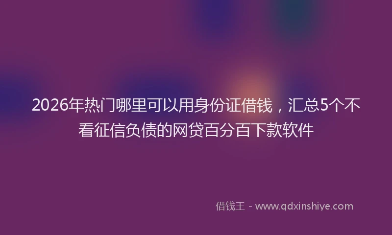 2026年热门哪里可以用身份证借钱，汇总5个不看征信负债的网贷百分百下款软件