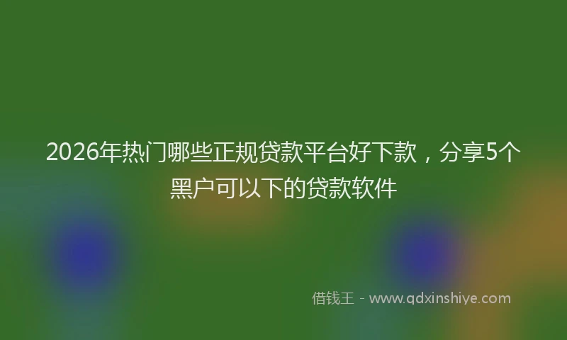 2026年热门哪些正规贷款平台好下款，分享5个黑户可以下的贷款软件