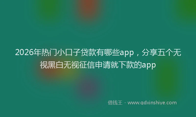 2026年热门小口子贷款有哪些app，分享五个无视黑白无视征信申请就下款的app