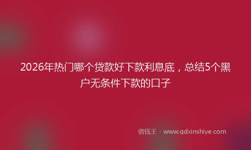 2026年热门哪个贷款好下款利息底，总结5个黑户无条件下款的口子