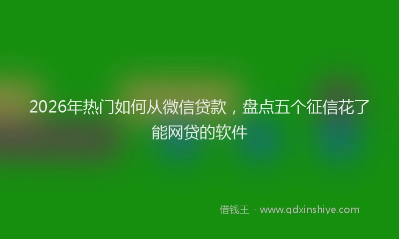 2026年热门如何从微信贷款，盘点五个征信花了能网贷的软件