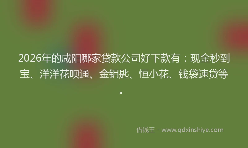 2026年的咸阳哪家贷款公司好下款有：现金秒到宝、洋洋花呗通、金钥匙、恒小花、钱袋速贷等。