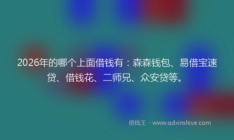 2026年的哪个上面借钱有：森森钱包、易借宝速贷、借钱花、二师兄、众安贷等。