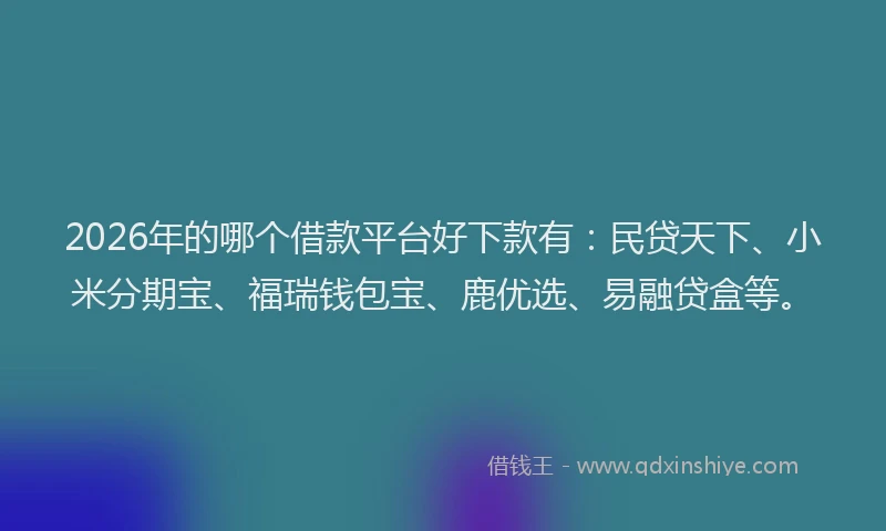 2026年的哪个借款平台好下款有：民贷天下、小米分期宝、福瑞钱包宝、鹿优选、易融贷盒等。