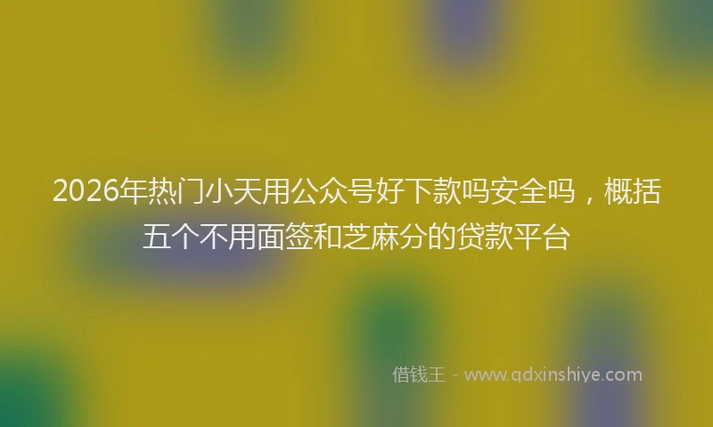 2026年热门小天用公众号好下款吗安全吗，概括五个不用面签和芝麻分的贷款平台