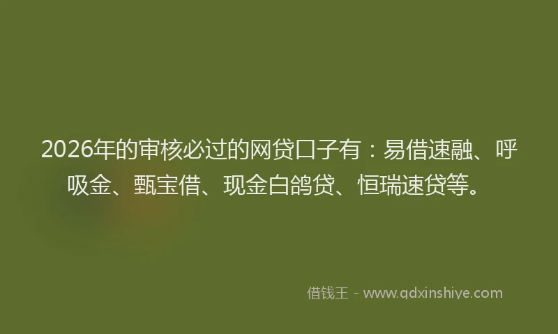 2026年的审核必过的网贷口子有：易借速融、呼吸金、甄宝借、现金白鸽贷、恒瑞速贷等。