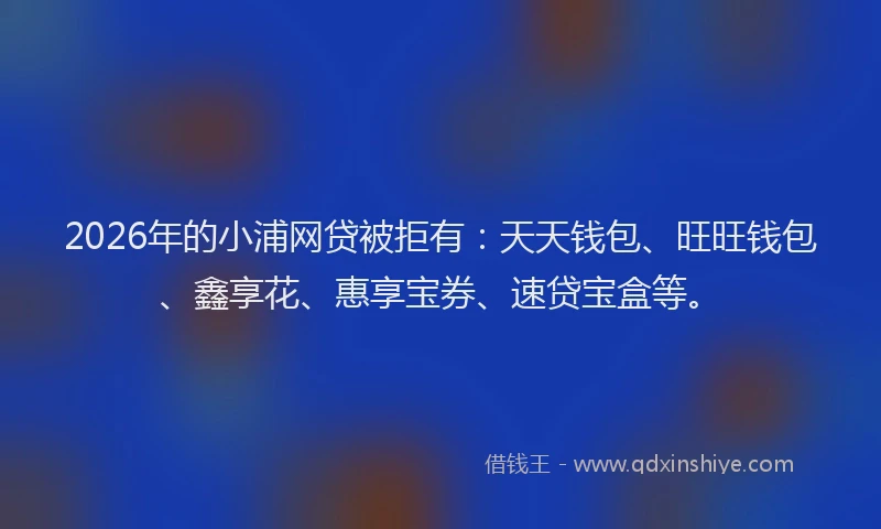 2026年的小浦网贷被拒有：天天钱包、旺旺钱包、鑫享花、惠享宝券、速贷宝盒等。
