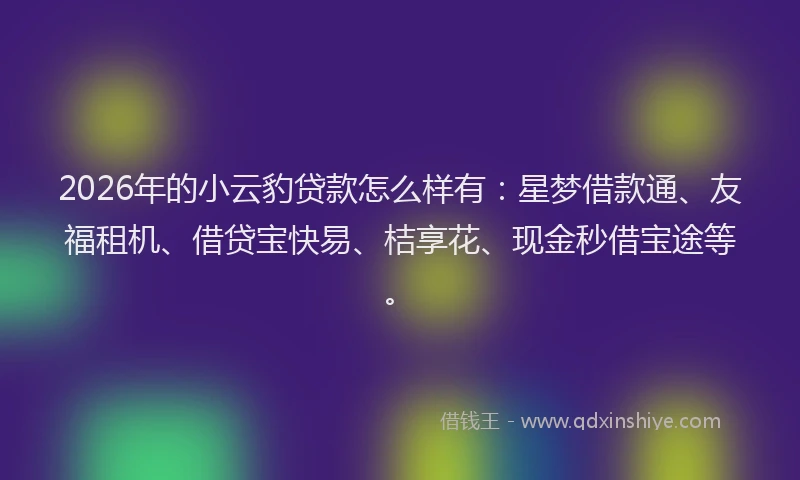 2026年的小云豹贷款怎么样有：星梦借款通、友福租机、借贷宝快易、桔享花、现金秒借宝途等。