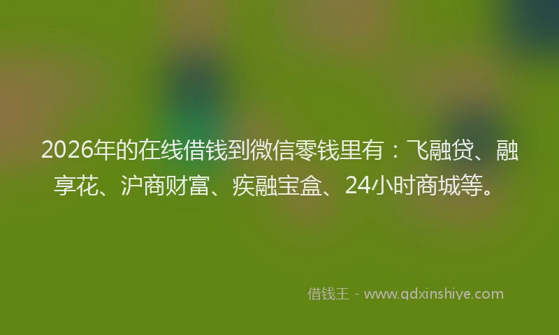 2026年的在线借钱到微信零钱里有：飞融贷、融享花、沪商财富、疾融宝盒、24小时商城等。