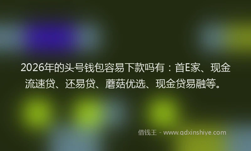 2026年的头号钱包容易下款吗有：首E家、现金流速贷、还易贷、蘑菇优选、现金贷易融等。