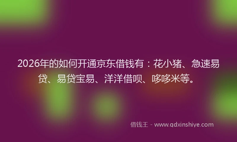 2026年的如何开通京东借钱有：花小猪、急速易贷、易贷宝易、洋洋借呗、哆哆米等。
