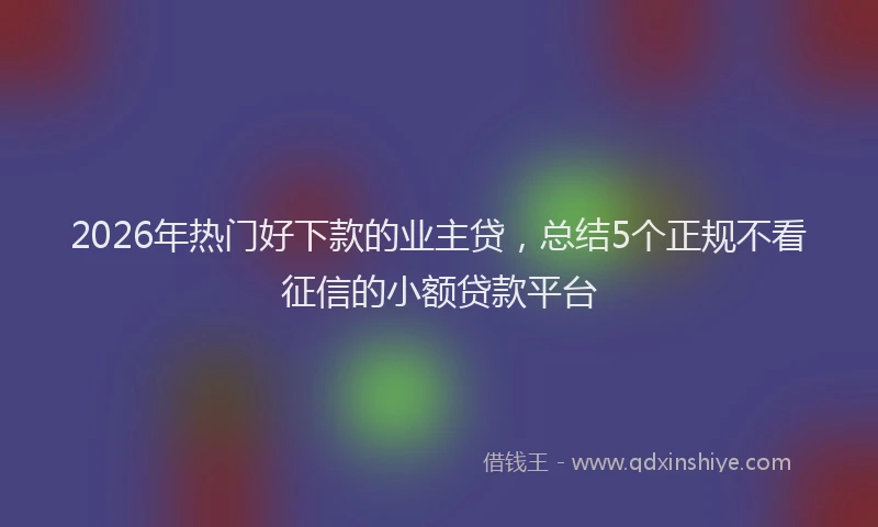 2026年热门好下款的业主贷，总结5个正规不看征信的小额贷款平台