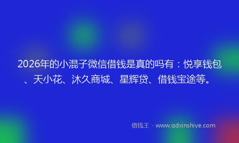 2026年的小混子微信借钱是真的吗有：悦享钱包、天小花、沐久商城、星辉贷、借钱宝途等。