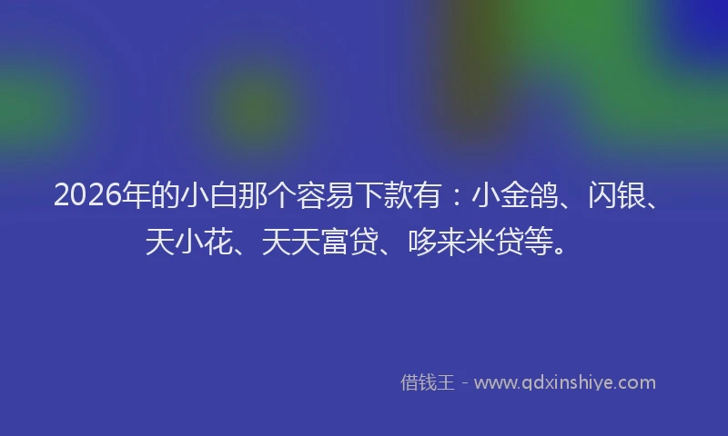 2026年的小白那个容易下款有：小金鸽、闪银、天小花、天天富贷、哆来米贷等。