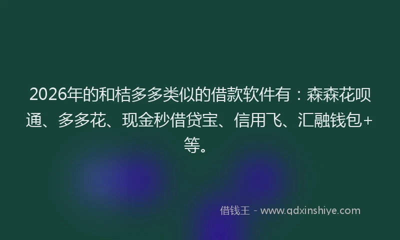 2026年的和桔多多类似的借款软件有：森森花呗通、多多花、现金秒借贷宝、信用飞、汇融钱包+等。