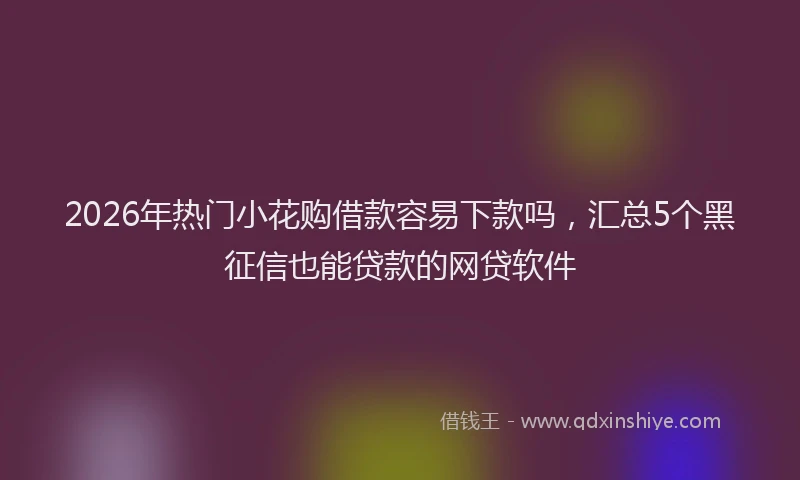 2026年热门小花购借款容易下款吗,汇总5个黑征信也能贷款的网贷软件