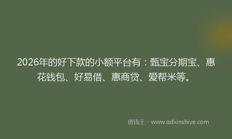 2026年的好下款的小额平台有：甄宝分期宝、惠花钱包、好易借、惠商贷、爱帮米等。