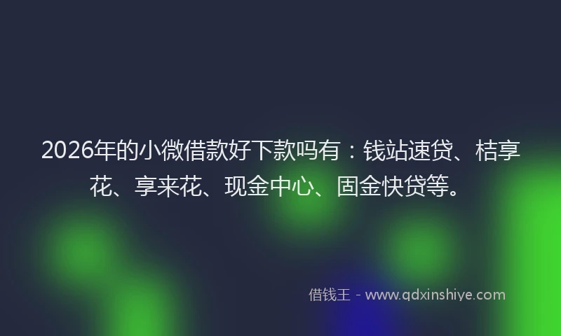 2026年的小微借款好下款吗有：钱站速贷、桔享花、享来花、现金中心、固金快贷等。