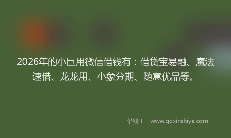 2026年的小巨用微信借钱有：借贷宝易融、魔法速借、龙龙用、小象分期、随意优品等。