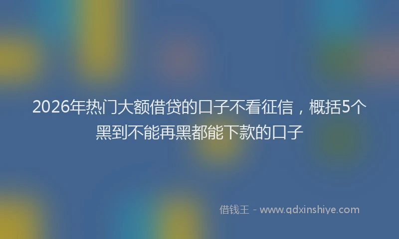2026年热门大额借贷的口子不看征信，概括5个黑到不能再黑都能下款的口子