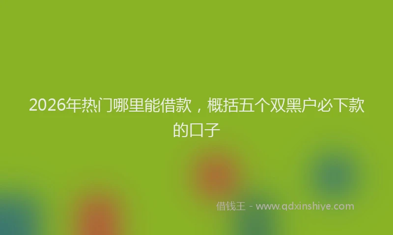 2026年热门哪里能借款，概括五个双黑户必下款的口子