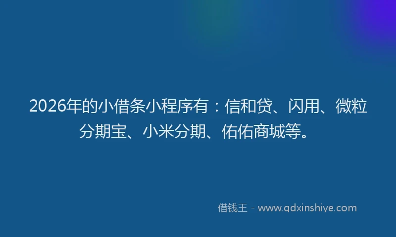 2026年的小借条小程序有：信和贷、闪用、微粒分期宝、小米分期、佑佑商城等。