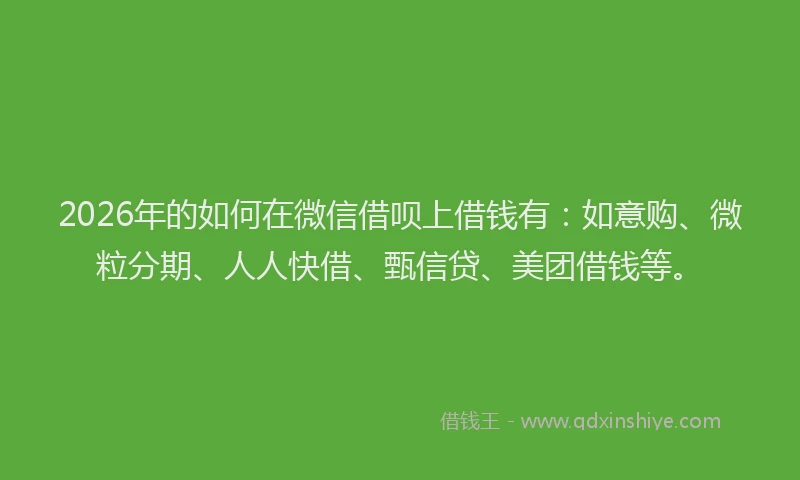 2026年的如何在微信借呗上借钱有:如意购、微粒分期、人人快借、甄信贷、美团借钱等。