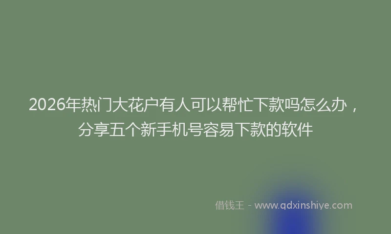 2026年热门大花户有人可以帮忙下款吗怎么办，分享五个新手机号容易下款的软件