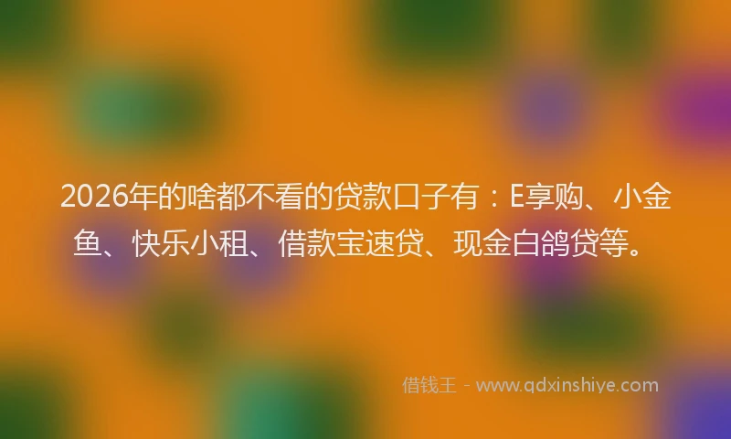 2026年的啥都不看的贷款口子有：E享购、小金鱼、快乐小租、借款宝速贷、现金白鸽贷等。