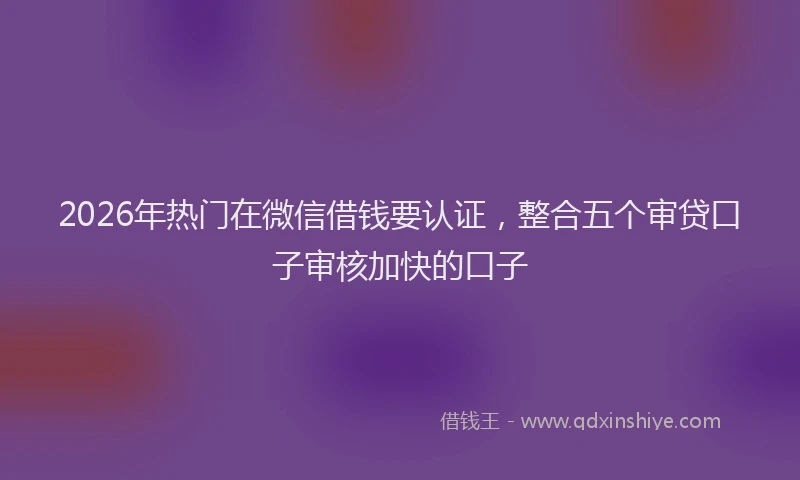 2026年热门在微信借钱要认证，整合五个审贷口子审核加快的口子
