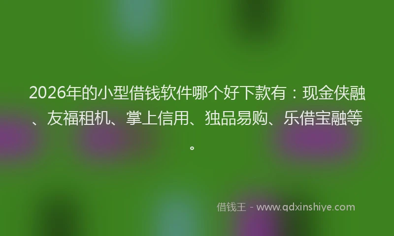 2026年的小型借钱软件哪个好下款有：现金侠融、友福租机、掌上信用、独品易购、乐借宝融等。