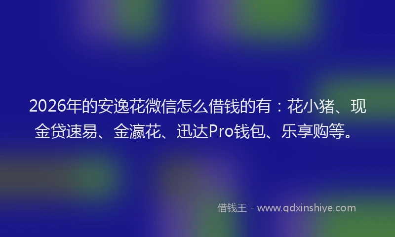 2026年的安逸花微信怎么借钱的有：花小猪、现金贷速易、金瀛花、迅达Pro钱包、乐享购等。