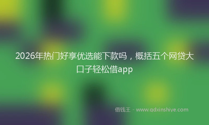 2026年热门好享优选能下款吗，概括五个网贷大口子轻松借app