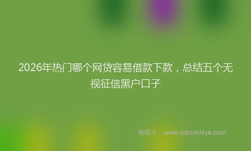 2026年热门哪个网贷容易借款下款，总结五个无视征信黑户口子