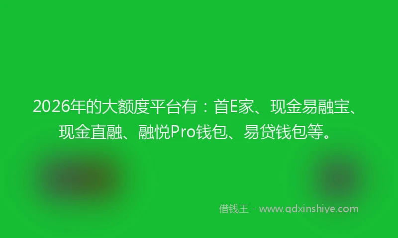 2026年的大额度平台有：首E家、现金易融宝、现金直融、融悦Pro钱包、易贷钱包等。