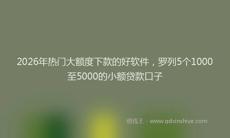 2026年热门大额度下款的好软件，罗列5个1000至5000的小额贷款口子