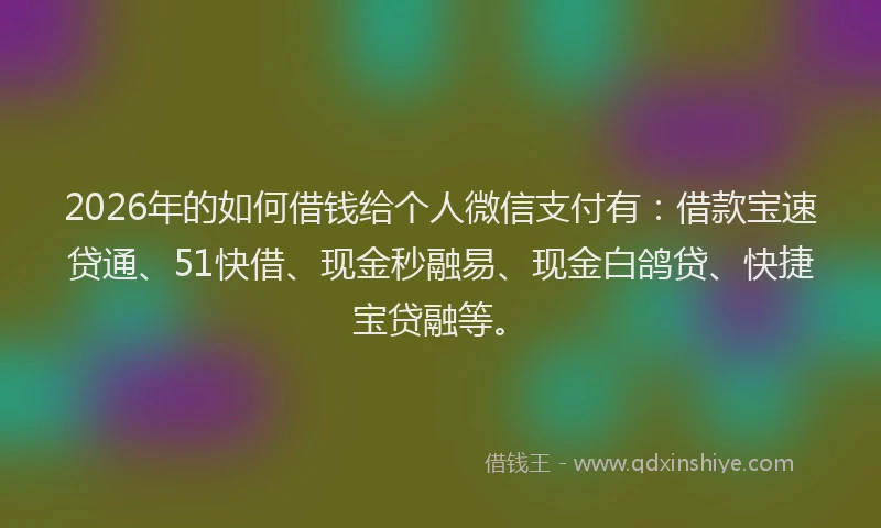 2026年的如何借钱给个人微信支付有：借款宝速贷通、51快借、现金秒融易、现金白鸽贷、快捷宝贷融等。