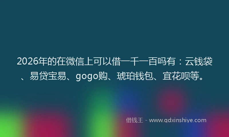2026年的在微信上可以借一千一百吗有：云钱袋、易贷宝易、gogo购、琥珀钱包、宜花呗等。