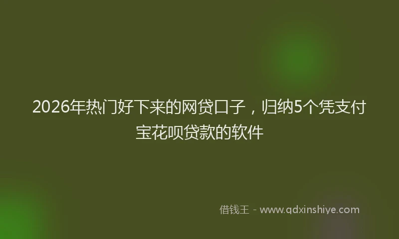 2026年热门好下来的网贷口子，归纳5个凭支付宝花呗贷款的软件