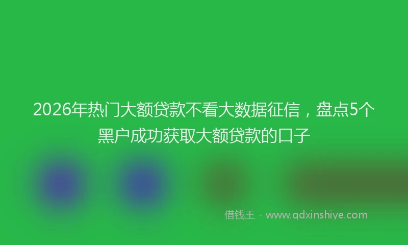 2026年热门大额贷款不看大数据征信，盘点5个黑户成功获取大额贷款的口子