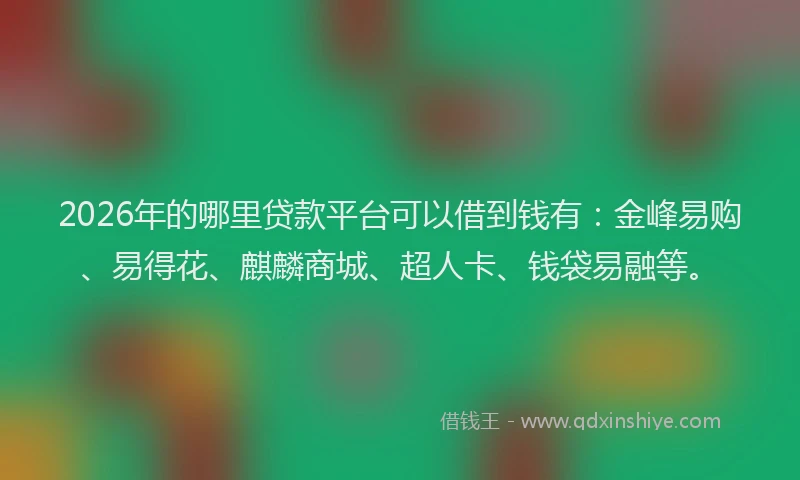 2026年的哪里贷款平台可以借到钱有：金峰易购、易得花、麒麟商城、超人卡、钱袋易融等。