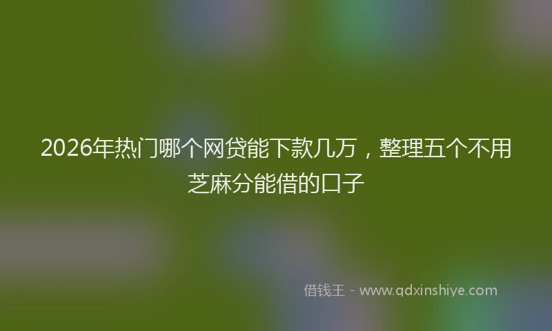 2026年热门哪个网贷能下款几万，整理五个不用芝麻分能借的口子