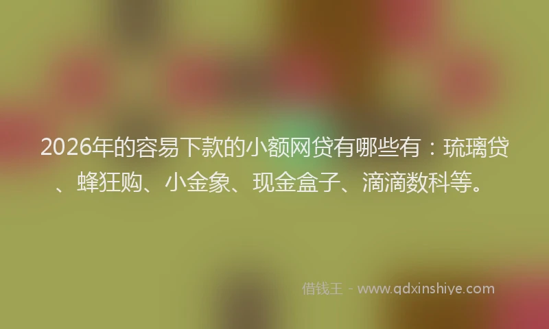2026年的容易下款的小额网贷有哪些有：琉璃贷、蜂狂购、小金象、现金盒子、滴滴数科等。