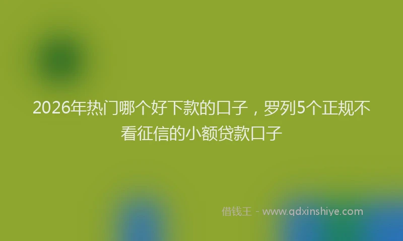 2026年热门哪个好下款的口子，罗列5个正规不看征信的小额贷款口子