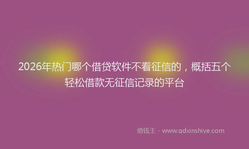 2026年热门哪个借贷软件不看征信的，概括五个轻松借款无征信记录的平台