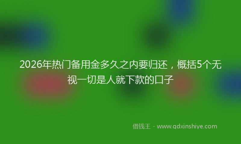 2026年热门备用金多久之内要归还，概括5个无视一切是人就下款的口子