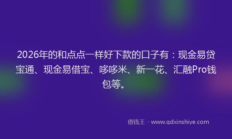 2026年的和点点一样好下款的口子有：现金易贷宝通、现金易借宝、哆哆米、新一花、汇融Pro钱包等。